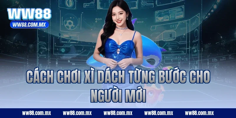 Cách chơi Xì Dách từng bước cho người mới