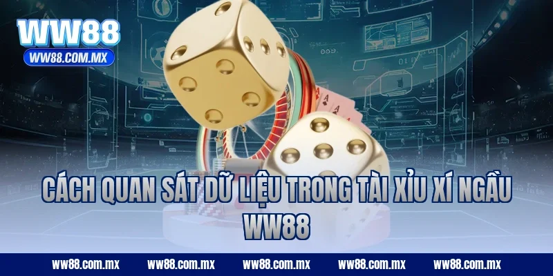 Cách quan sát dữ liệu trong Tài Xỉu Xí Ngầu WW88
