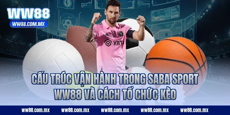 Cấu trúc vận hành trong SABA Sport WW88 và cách tổ chức kèo