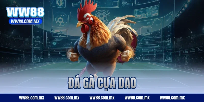 đá gà cựa dao