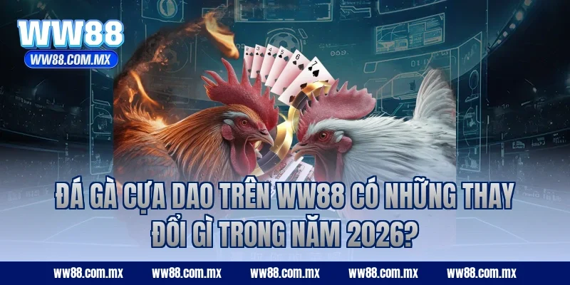 Đá gà cựa dao trên WW88 có những thay đổi gì trong năm 2026?