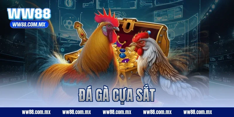 đá gà cựa sắt