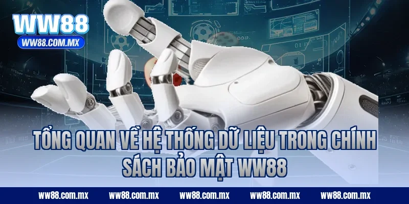 Tổng quan về hệ thống dữ liệu trong chính sách bảo mật WW88