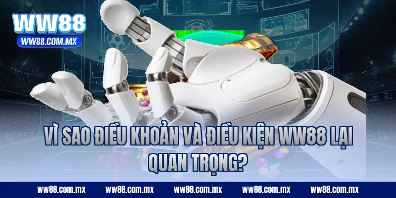 Vì sao điều khoản và điều kiện WW88 lại quan trọng?